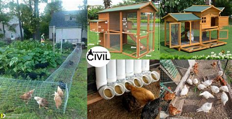 build  small chicken cage chicken coop