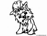 Yorkie Coloring Pages Baby Printable Kids Line Drawing Adults Clipartmag sketch template