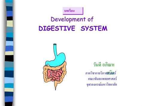 ppt development of digestive system powerpoint