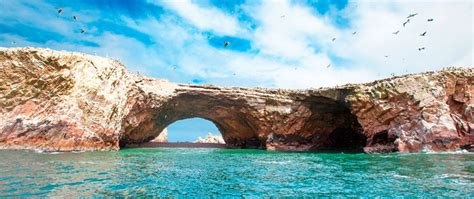 Candelabro haf, estilo moderno compra online para decorar tu casa con estilo ✓envíos gratis desde 30 euros ✓máxima calidad ✓30 días de devolución . Tour Islas Ballestas - Tour Ica