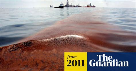 Gulf Of Mexico To Recover From Bp Oil Spill By 2012 Environment