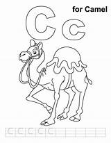 Dromadaire Camels Handwriting Coloriage Coloriages sketch template