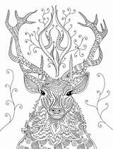 Ausmalbilder Reindeer Mandala Erwachsene Ausmalen Mandalas Coloriage Malvorlagen Schwer Meditatives Fantastisches Reich Ausdrucken Sheets Kostenlos Schwierig Sauvage Marielle Enders Animaux sketch template