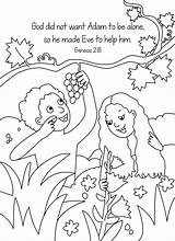 Bible Coloring Adam Eve Pages Clipart Library sketch template