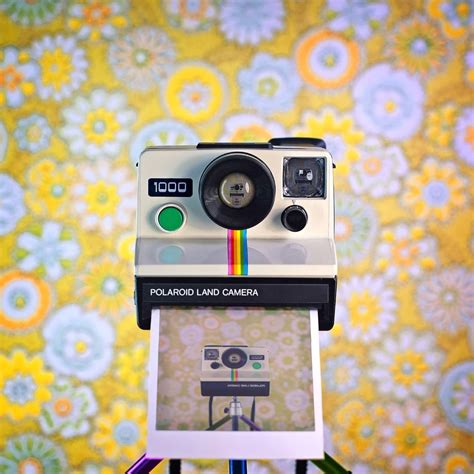 camera selfies photographs  juergen novotny lensculture