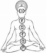 Chakras Chakra Yoga Seven System Body Drawn Functions Crystalinks Endocrine Para Positions Parallels Supporters Existence Often Between Been Gland Pineal sketch template