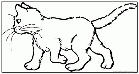 kitten coloring pages preschool crafts