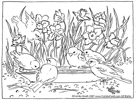 printable coloring landscape pages scenery coloring pages