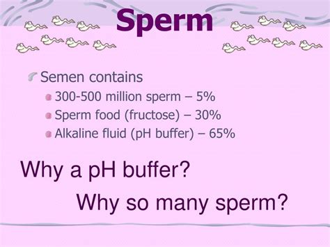 Ppt Human Reproduction Powerpoint Presentation Free