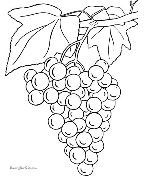 grapes coloring page  print  color fruit pinterest printing