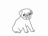 Mops Malvorlage Kinderbilder Ganzes Hund sketch template