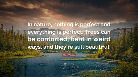 alice walker quote “in nature nothing is perfect and everything is perfect trees can be