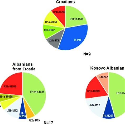 Y Chromosome Haplogroup Frequencies In Croatians