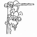 Macaco Monkeys Colouring Kiddycharts Desenho Funky Tudodesenhos Clipartmag sketch template