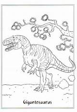 Gigantosaurus Dinosauri Kleurplaten Dinosaurus Ausmalbilder Kleurplaat Coloriage Dinosaurier Dinosaure Dinosaurussen Coloriages Facile Rex Druku Jurassic Stampare Kolorowanki Dinosauro Pianetabambini Bubakids sketch template