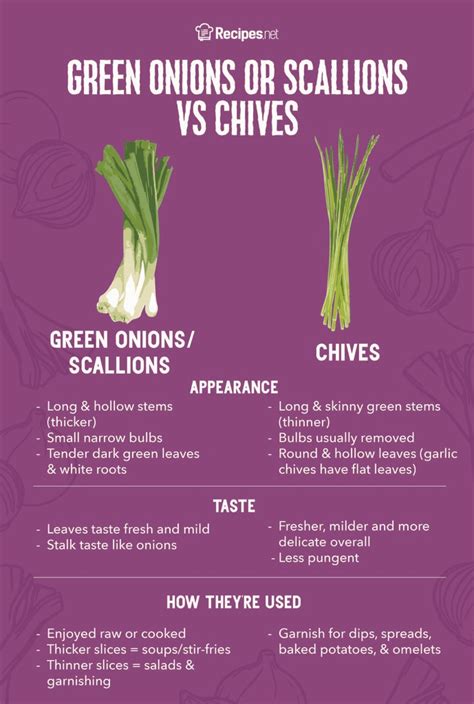chives  green onions  scallions whats  difference recipesnet
