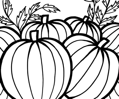 pumpkins coloring pages  celebrate thanksgiving