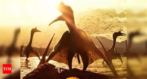 Jurassic World Dominion Box Office Collection Day 4 Chris Pratt