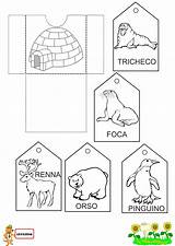 Lapbook Scuola Colorare Disegni Maestra Didattiche Infanzia Bambini Poldo Imparaconpoldo Idee Schemi Apprendimento sketch template