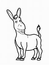 Donkey Coloring Sketch sketch template