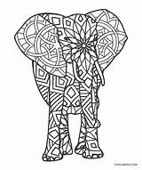 Elefant Erwachsene Ausdrucken sketch template