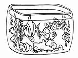 Aquarium Clipart Outline Webstockreview Clipground 101coloring sketch template