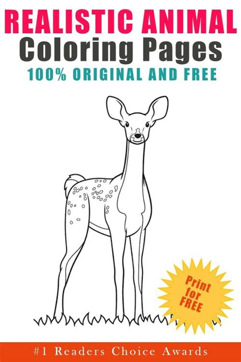printable realistic animals coloring pages updated