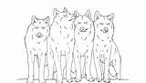 Wolf Coloring Pages Pack Printable Animal Color Coloringhome Clipart Popular Library Sketch sketch template