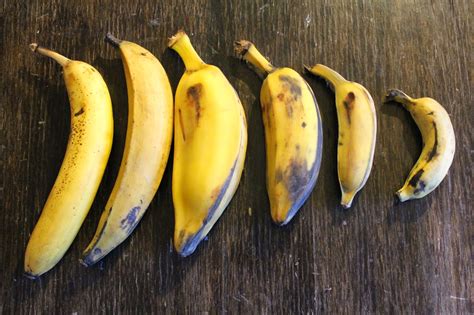 edible tropicals   propagate bananas