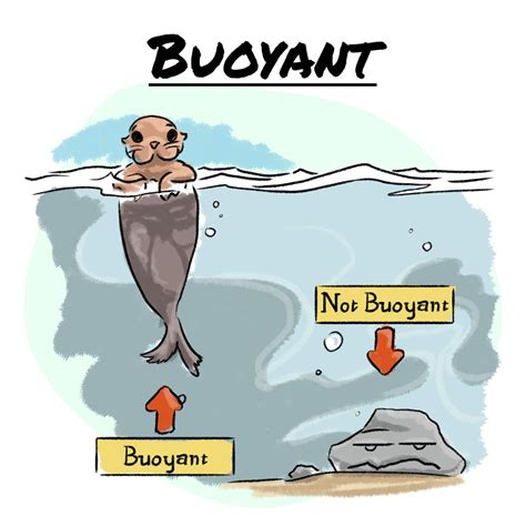 buoyant buoyant vocabulary cartoons  grammar