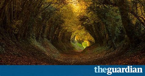 inside south dorset s holloways in pictures books the guardian