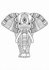 Elephant Elefantes Erwachsene Elefanti Elefanten Malbuch Adulti Elephants Elefante Bojanka Adults Mandalas Bojanke Dessin Patterns Odrasle Bojanje Mandala Elefant Coloriage sketch template