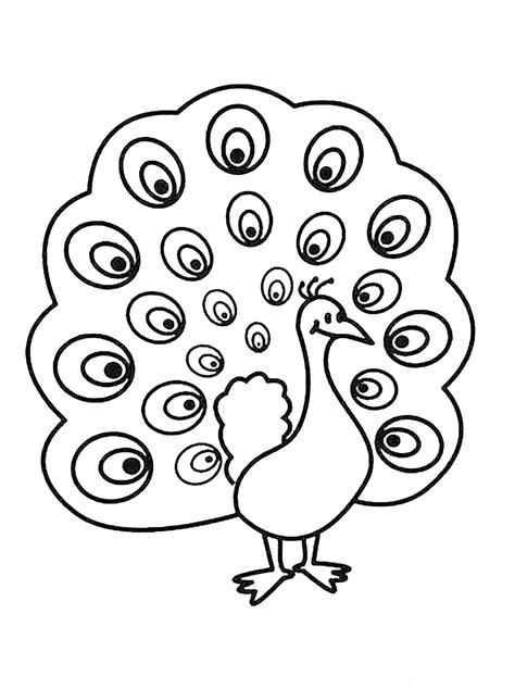 peacock coloring pages  print peacocks kids coloring pages