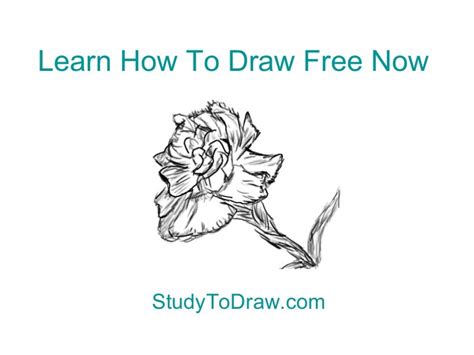learn  draw easy