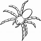 Coloring Pages Spiders Spider Kids Simple Drawing Sheet sketch template
