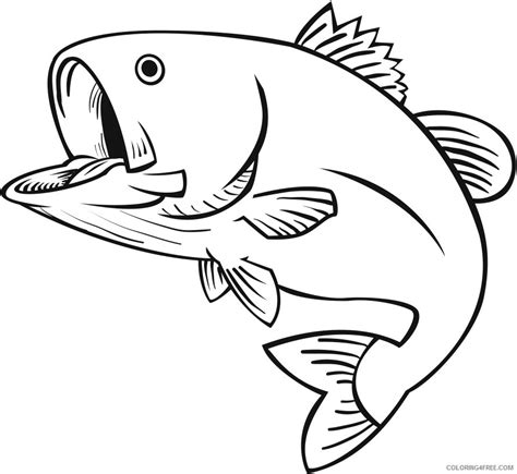 bass fish coloring pages  drawings  bass fish printable