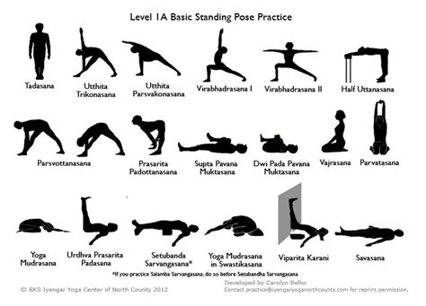beginners guide  yoga