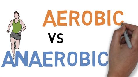 aerobic vs anaerobic difference youtube