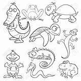 Reptiles Drawing Coloring Getdrawings Cute sketch template