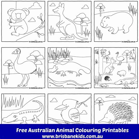 australian animals coloring page   australian animal printables