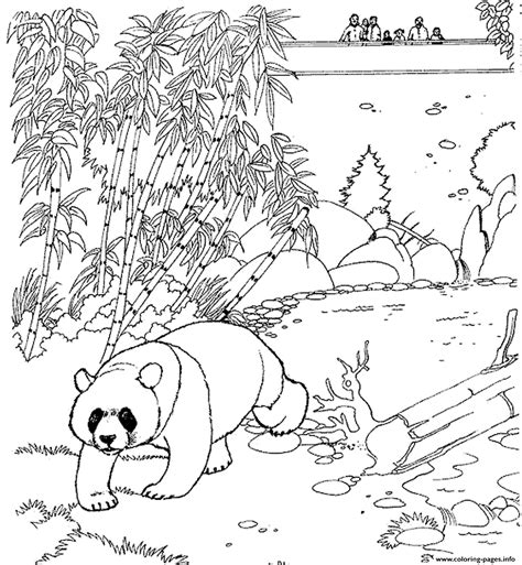 panda coloring pages  adults   panda coloring