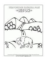 Yellowstone Bison Geyser 1239 Coloriages Wyoming Designlooter Dramatic sketch template