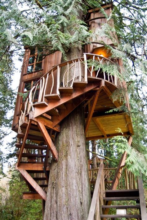 World S Most Popular Treehouses Resort Hotels With Amazing