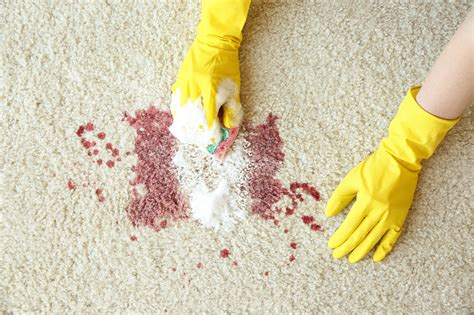 ways  clean blood  carpets florida carpet kings
