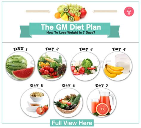gm diet plan  day meal plan  fast weight loss