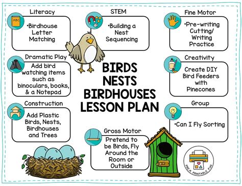 birds nests and birdhouses lesson planning ideas pre k printable fun
