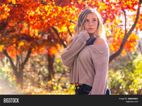 Gorgeous Blonde Model Image And Photo Free Trial Bigstock