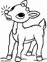 Rudolph Coloring Pages Cute Little sketch template