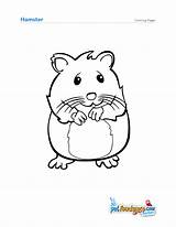 Hamster Coloring Pages Cute Realistic Baby Hamsters Drawing Printable Sheets Getcolorings Print Color Kids Preschool Getdrawings Choose Board Good sketch template