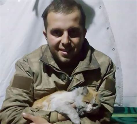 cat rescued by a turkish soldier in syria finds a home in a bookshop metro news